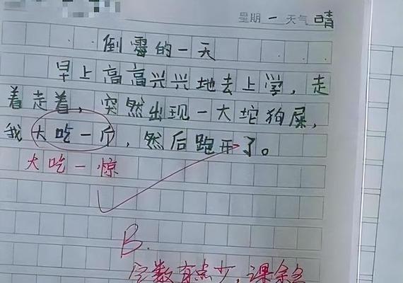 艰辛之路——一个人的奋斗史