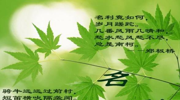 陶醉绿色的世界（在森林的怀抱中舞蹈）
