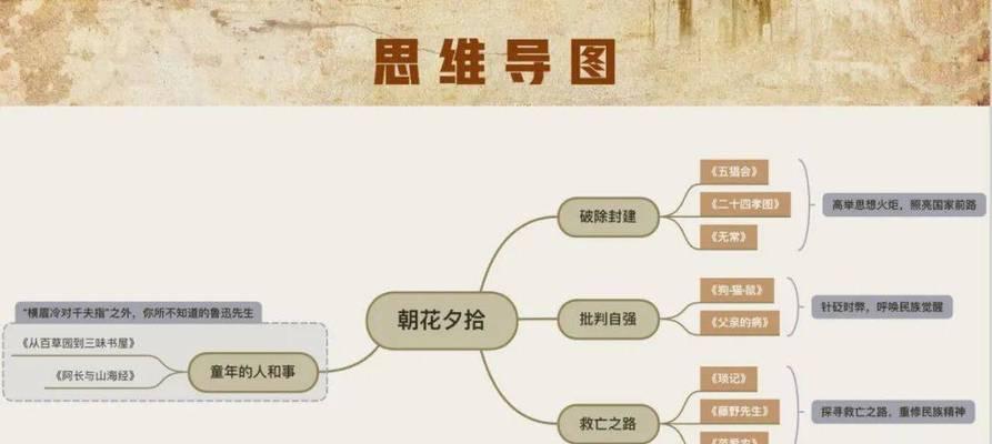 爱情的绽放（一对初恋情人的浪漫故事）