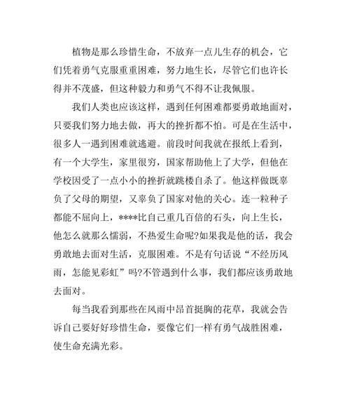 勇往直前——一个追求梦想的故事（不怕困难）