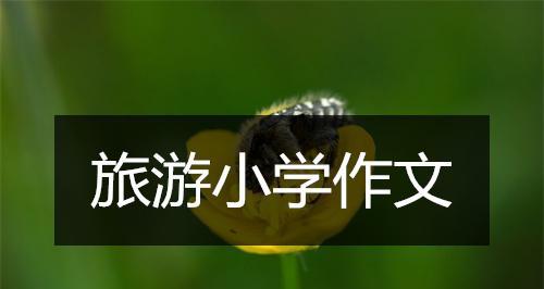 微笑传递幸福（一位甜美微笑的少女）