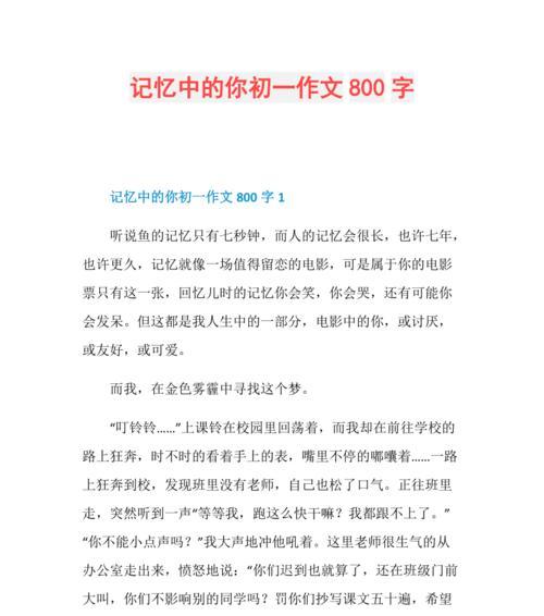 记忆的曲折之路（一个男孩的成长故事）