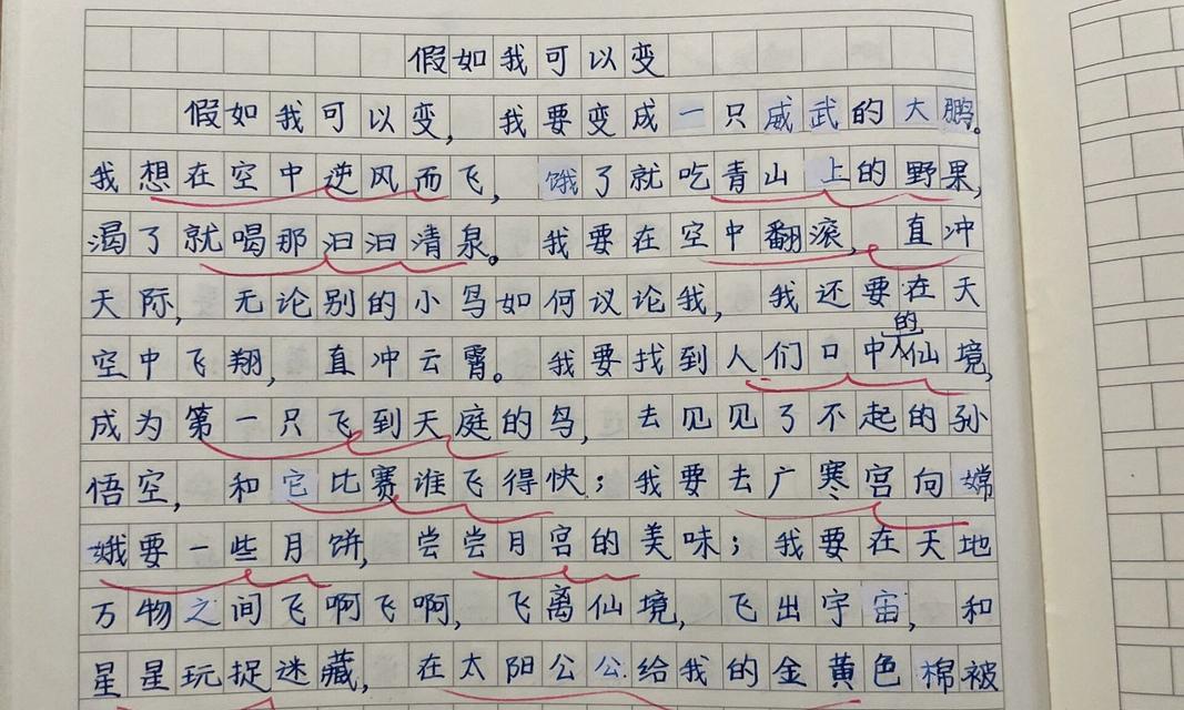寻找生命的奇妙与伟大（一个人物的成长历程）