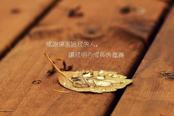 成长的代价（一个孩子的故事）