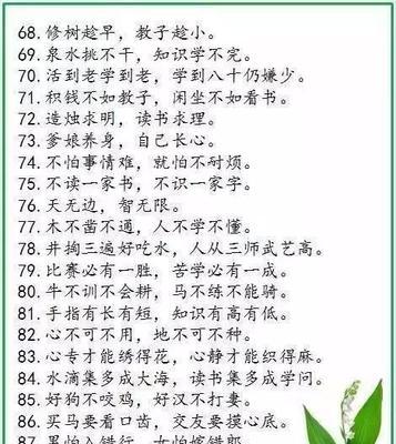 桃李满天下（一个老师的故事）