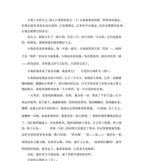我的最忠实伙伴——一只小狗（在我心中它永远是最好的朋友）