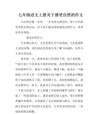 聆听自然之音（寻找内心平静）