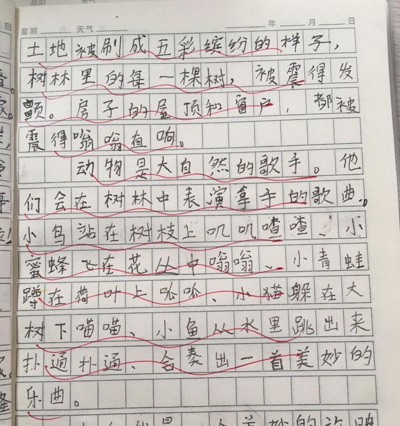 聆听自然之音（寻找内心平静）