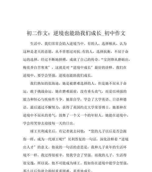 挑战重重，毅力决胜（一个人的奋斗史）