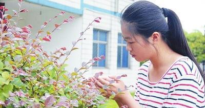 一朵蓓蕾成长的过程（一朵蓓蕾成长的过程）