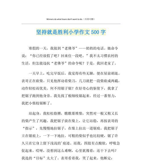 坚持不懈，迎接成功（一位年轻女孩的奋斗史）