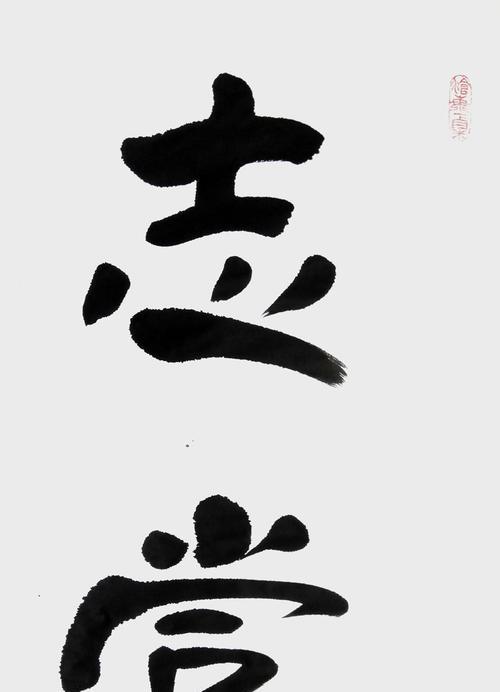 青春之光（以志当存）