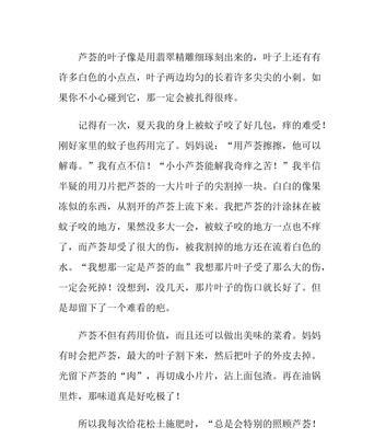 一道疤痕的见证（探寻人生的真谛）