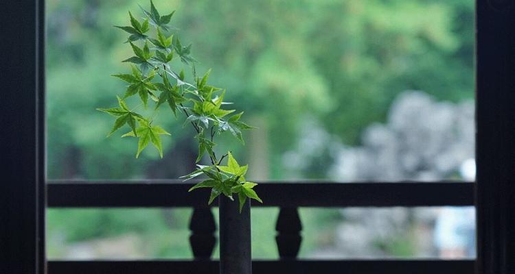 秋日的深情韵（一对年轻恋人的美好爱情）
