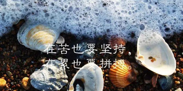 用努力书写人生（奋斗才能拥有美好未来）