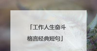 追梦人的美丽故事（追梦人的美丽故事）