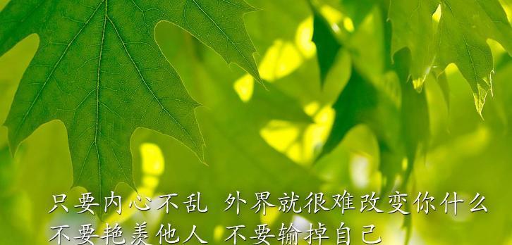 追梦人的美丽故事（追梦人的美丽故事）