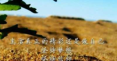 追梦人的美丽故事（追梦人的美丽故事）