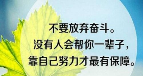 无私努力，创造辉煌（25句名言让你不断前进）