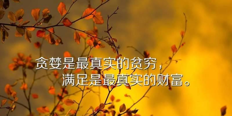 青春无悔（闪耀人生的瞬间）
