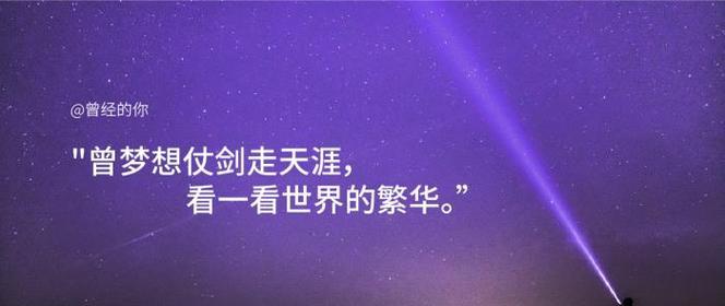 梦想的翅膀（25个唯美句子带你飞翔）