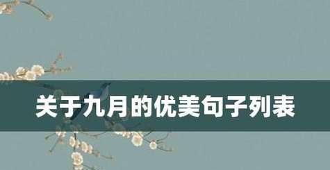 美丽的世界——探寻自然与生命之美