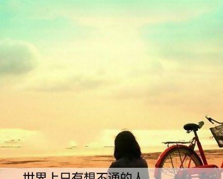 前行的力量（坚持不懈，绽放光芒）