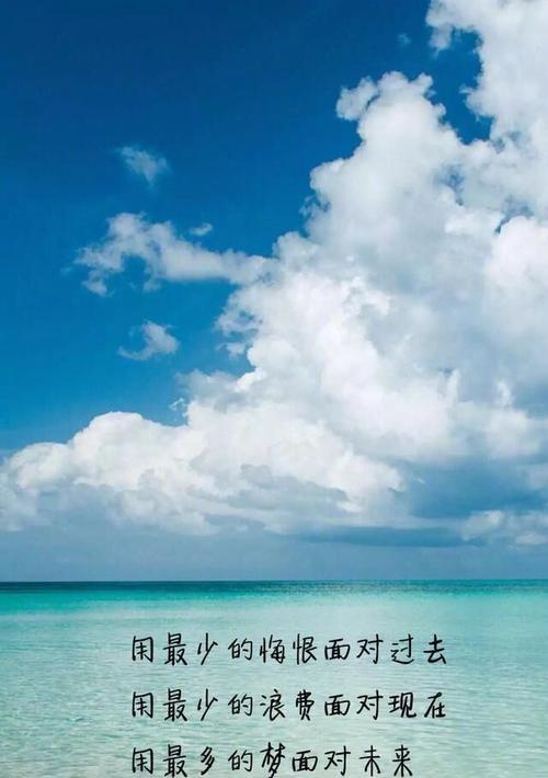 前行的力量（坚持不懈，绽放光芒）