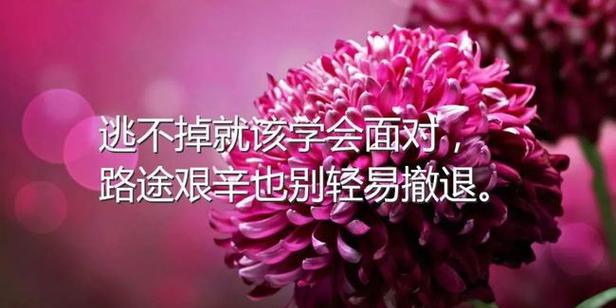 励志美句：让梦想翅膀自由飞翔，让未来路途充满希望。