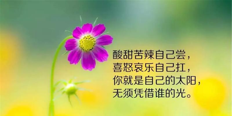 《薪火相传》——励志经典句子集锦