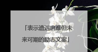 奋斗不息，励志前行（以好词佳句为媒介的心灵疗愈之旅）