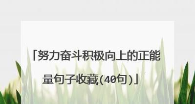 梦想给我翅膀（梦想给我翅膀）