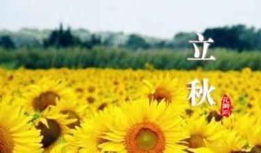 立秋后的早晨