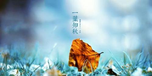 立秋后的早晨