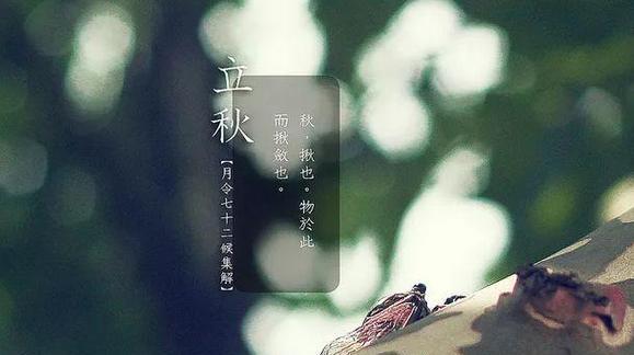立秋的美丽篇章