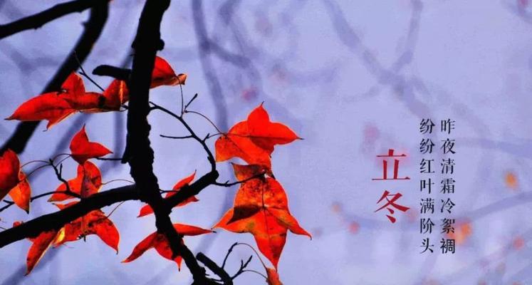 《立冬唯美句子集锦》