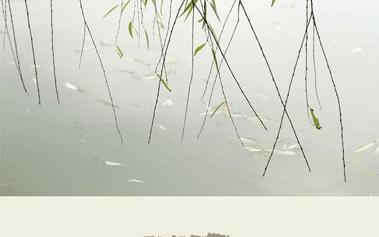 寻找春天的脚步（寻找春天的脚步）