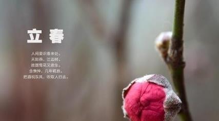 寻找春天的脚步（寻找春天的脚步）