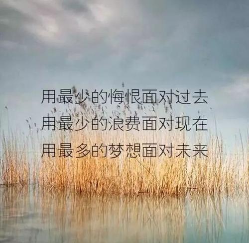 唯美短句汇聚（唯美短句汇聚）