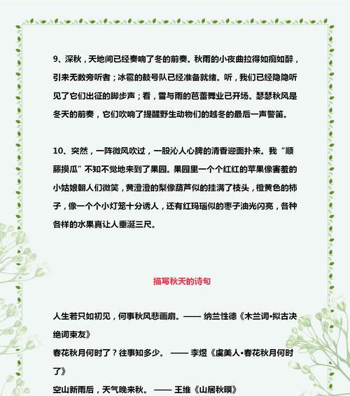 友情的奇妙之处：深刻理解与默契共生
