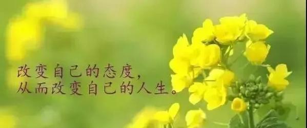 《乐观的力量：用积极的态度迎接挑战》——乐观