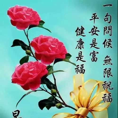 宽容的花园——走进宽容的世界