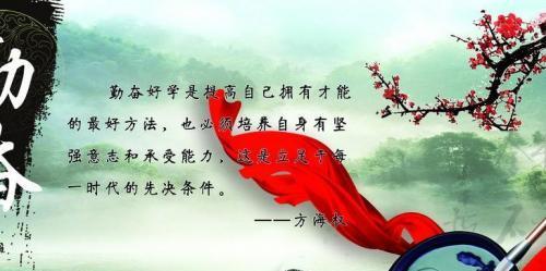 追求进步、绽放人生、奋斗人生（追求进步、绽放人生、奋斗人生）