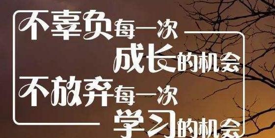 追求进步、绽放人生、奋斗人生（追求进步、绽放人生、奋斗人生）