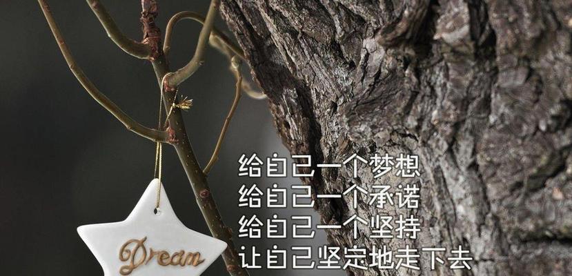 阳光下的每一份汗水都是宝贵的（阳光下的每一份汗水都是宝贵的）