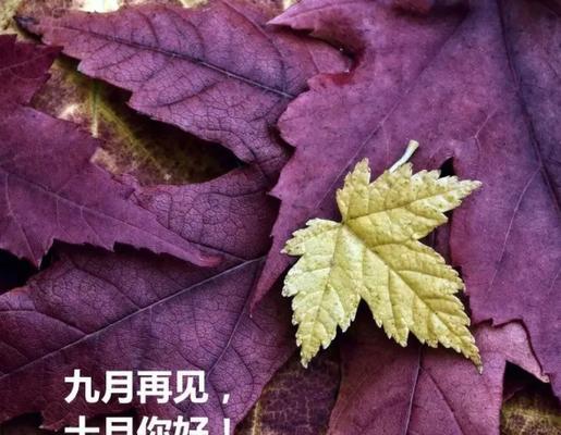 九月，你好——唯美短句之旅