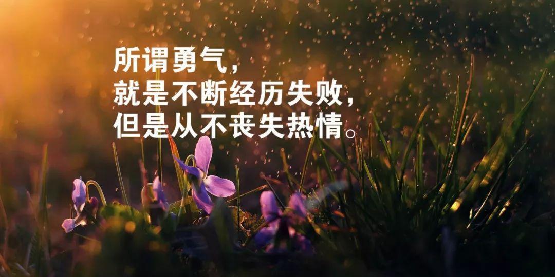 梦想启航，拼搏奋斗（梦想启航，拼搏奋斗）