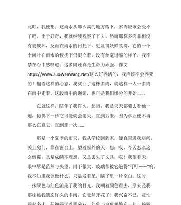 梦想邂逅希望（从失落到奋起的故事）