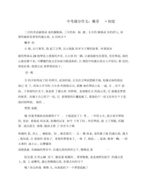 起点：怀揣梦想起航——一个少年的奋斗之路