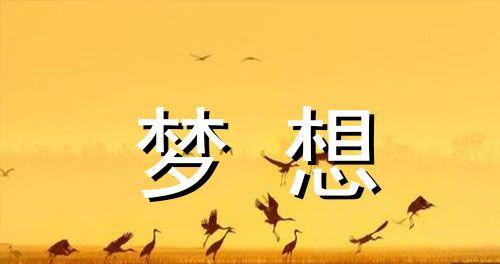 勇敢追梦，勇攀高峰（勇敢追梦，勇攀高峰）